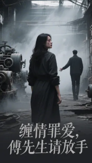 缠情罪爱，傅先生请放手